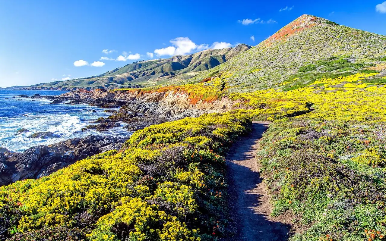 高端智慧城市新型